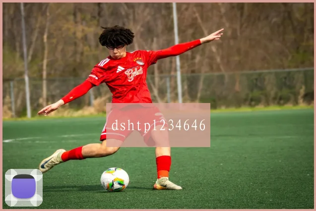 dshtpl234646