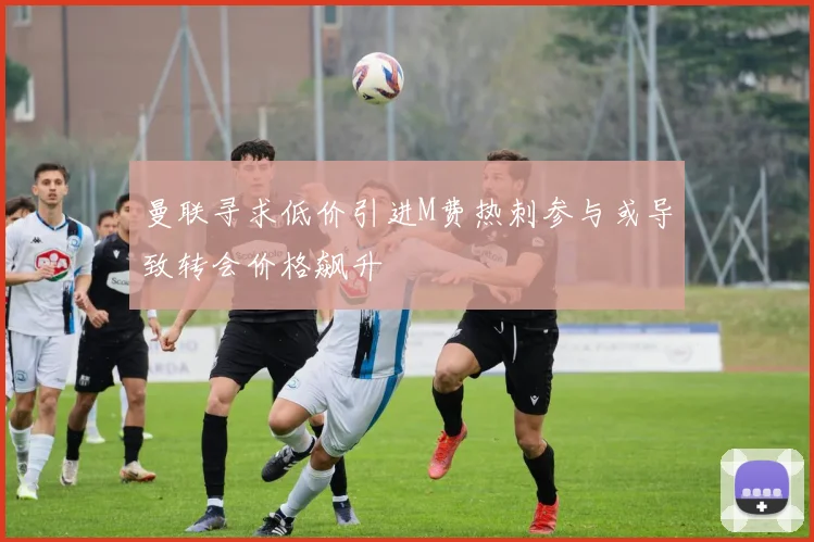 曼联寻求低价引进M费热刺参与或导致转会价格飙升