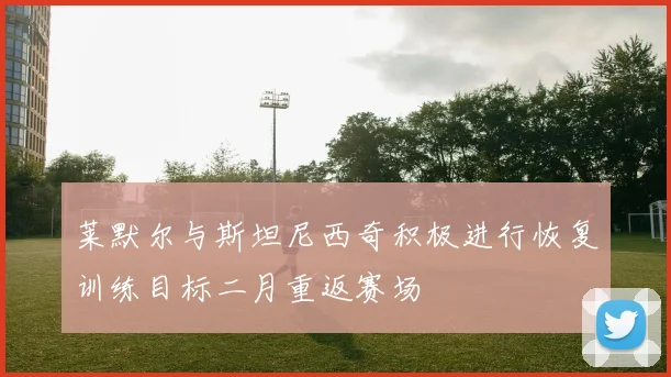 莱默尔与斯坦尼西奇积极进行恢复训练目标二月重返赛场