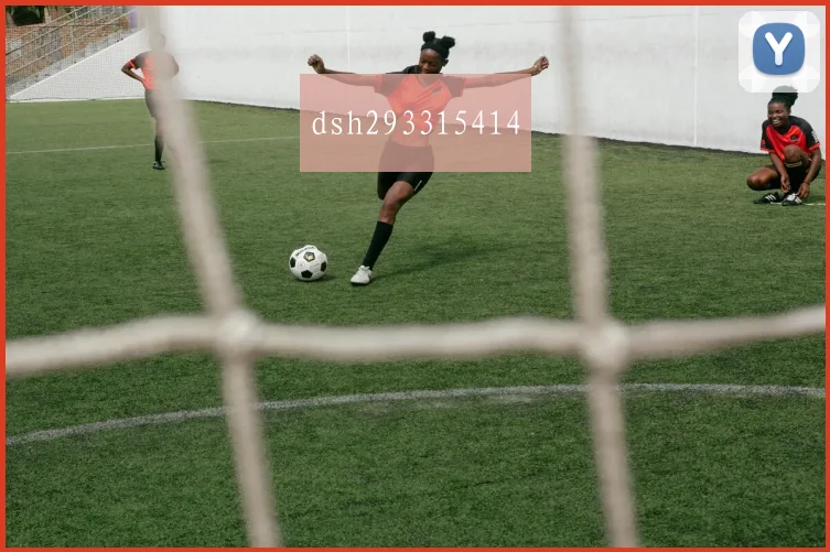 dsh293315414