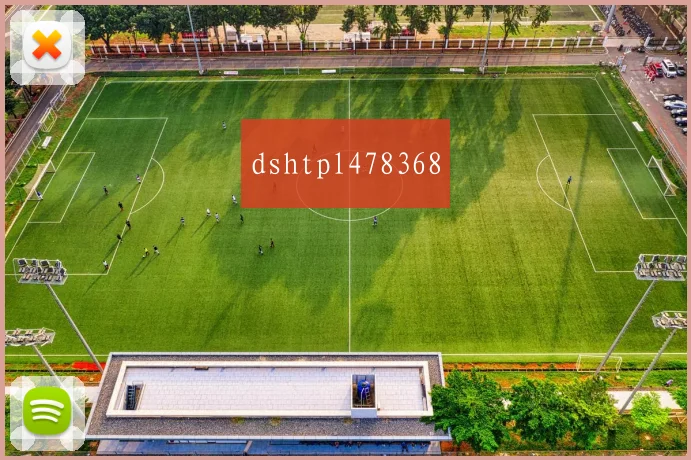 dshtpl478368
